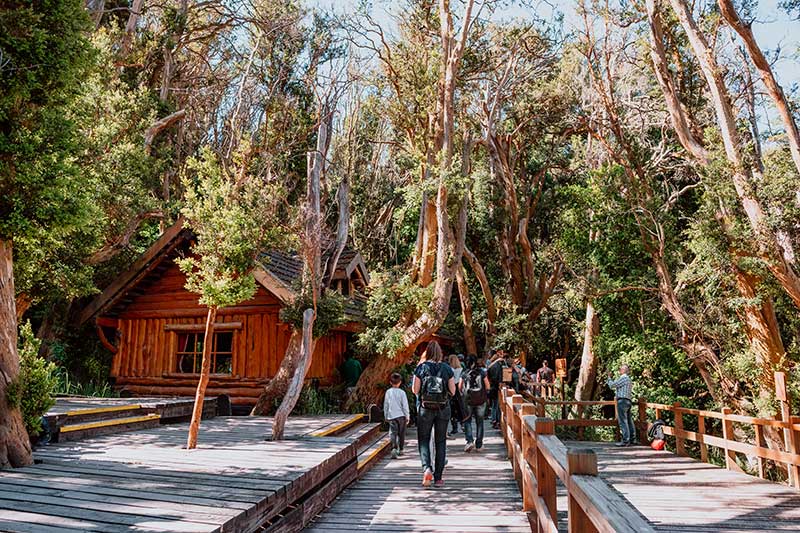 Bosque de Arrayanes – Cau Cau – Isla Victoria y Bosque de Arrayanes