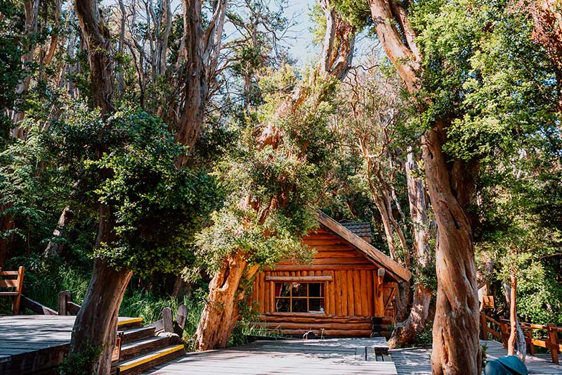 Bosque de Arrayanes – Cau Cau – Isla Victoria y Bosque de Arrayanes