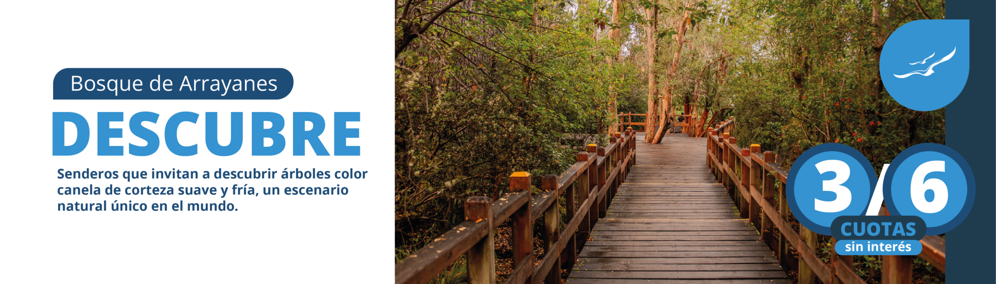 institucional-banner-web-53