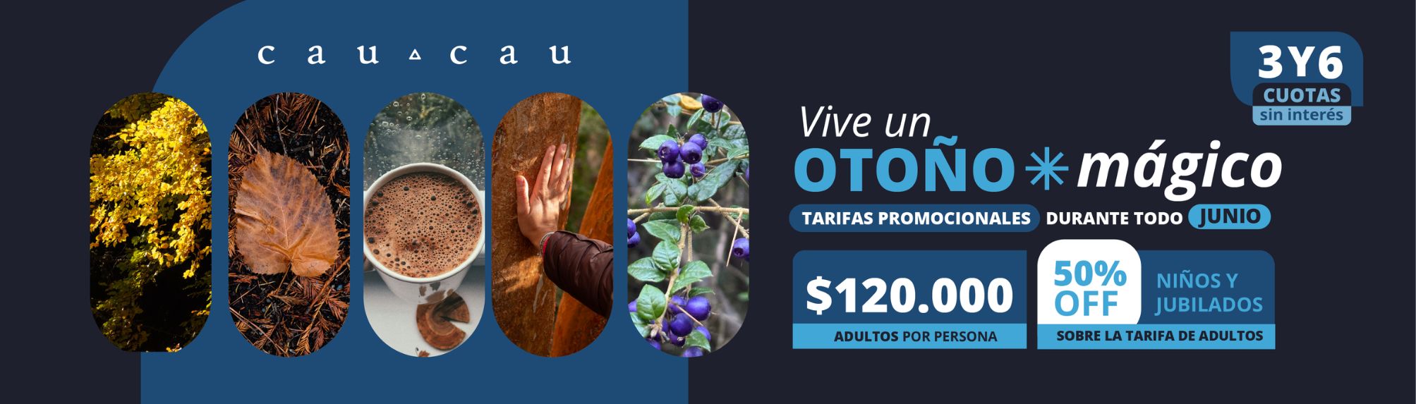 banner promos junio